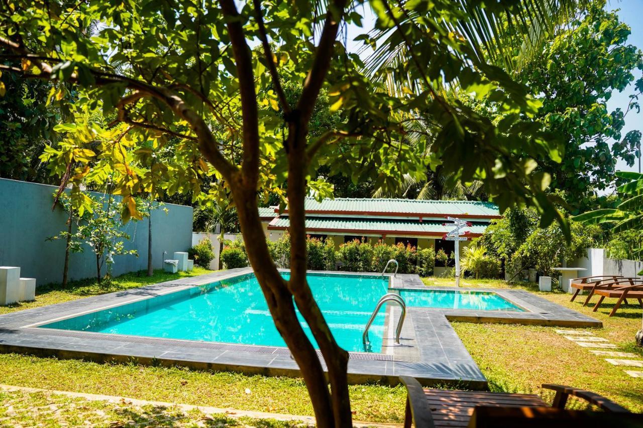 Sigiri Sierra View Resort 시기리야 외부 사진